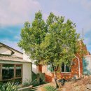 건강한한림연합내과의원 | 한림읍 소박한 타르트 가게 파스테이스(건강한한림연합내과의원 찐 추천과 더불어 병원 웨이팅 코스로...