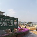 텃밭농원 - 정선군 사북중앙로 67 | 텃밭농원