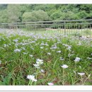 텃밭식당 이미지