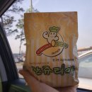 네네치킨매포읍점 | 단양 당일치기 힐링여행-(도담삼봉, 마늘석갈비막국수, 카페산, 단양흑마늘누룽지닭강정)