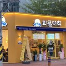 와플대학논산캠퍼스 네이버블로그