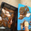 대진출장소 이미지