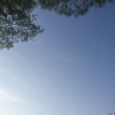 보현산천문대민박 | 15.04.24. 보현산 후기 - 밤하늘 데이트