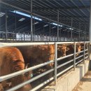 (주)쌍용에프엔씨 이미지