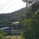 동산흑염소 이미지