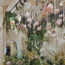 라비에벨 이미지