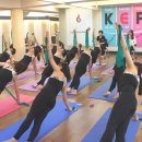 국제필라테스교육협회 와이드경제