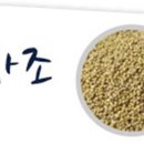 (주)웰리브 이미지