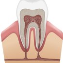 바른이정치과의원 | 편한 진료 중계동치과 바른이정치과의원