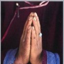 참사랑주막 이미지