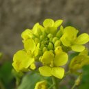 대원보건진료소 이미지