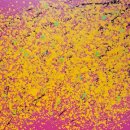 미대언니 이미지