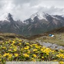 쓰촨성의 산하(1)-그 화려함 속으로 이미지