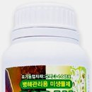 보란파마 매일경제