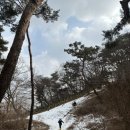 충무칼국수보쌈 이미지