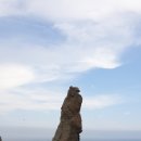 호산초교 이미지