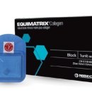 덴탈메트릭스 이미지