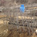 내서읍1171 이미지