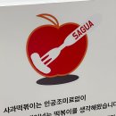 스타필드 팝업 사과떡볶이 모든메뉴 후기/조리꿀팁