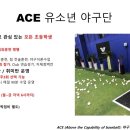 와니엘배팅센타 이미지