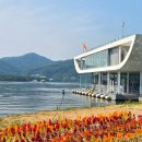 꽃보다차 | 가평 자라섬 꽃 페스타 후기 전기차 무료운행으로 편하게 다녀온 봄꽃축제