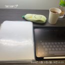 송학골 | 11월 정리