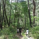 성불산자연휴양림 이미지