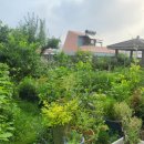 엘림빌딩 이미지