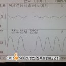 수리브라운 이미지