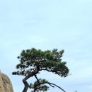 감천할아버지 이미지