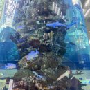 인상주의 팝아트 이야기 이미지