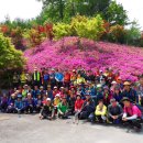 상하옥 향우회 태백산 산행 (1) 인물사진 이미지