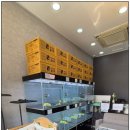 버디독 강아지분양 고양이분양 안심분양센터 서울 강서점 이미지