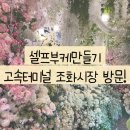 시장터미널 | 셀프로 나만의 조화부케 만들기 1편 : 고터 고속터미널 조화시장 후기