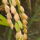 우보농장 이미지