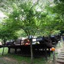 천동캠핑장(하) | [캠핑장소]천동오토캠핑장 (천동관광지야영장)