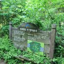 중구봉(276m) 이미지
