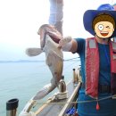 백호3호 이미지