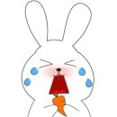 STUDIO 176 네이버블로그