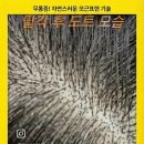 토니네일속눈썹
