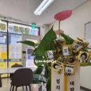 엄지공인중개사사무소 이미지