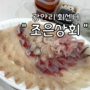 광안해변로 | 부산 광안리 회센터 추천, 싱싱함 남다른 조은상회 후기