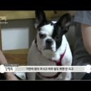 대구S동물병원 이미지