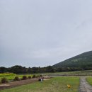 더포그레이스호텔앤리조트 이미지