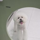 몽이미용실 이미지