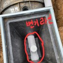 모양정화조