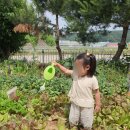 새록새록어린이집 이미지