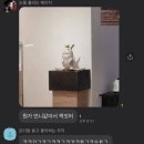 유아이안경 | 룰루랄라 일상