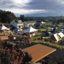 벨리타캠핑장 | 🌿반려견과 함께 제주에서 캠핑 즐기기! 제주벨리타캠핑장 추천이유 5가지