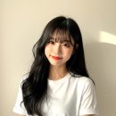 헤일로헤어 - 양천구 | 헤일로헤어